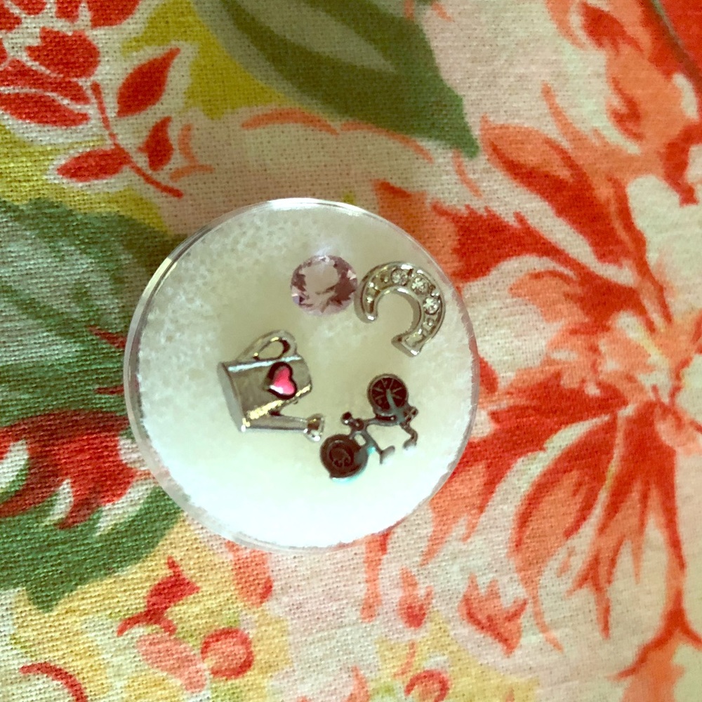 Origami Owl charm set